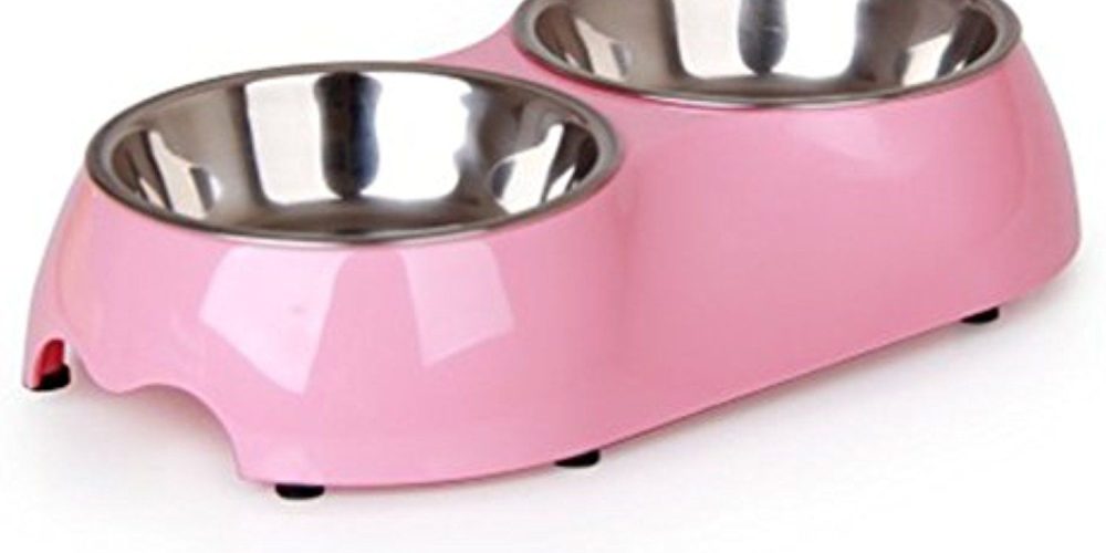 Weighted dog bowls handle various occupations
