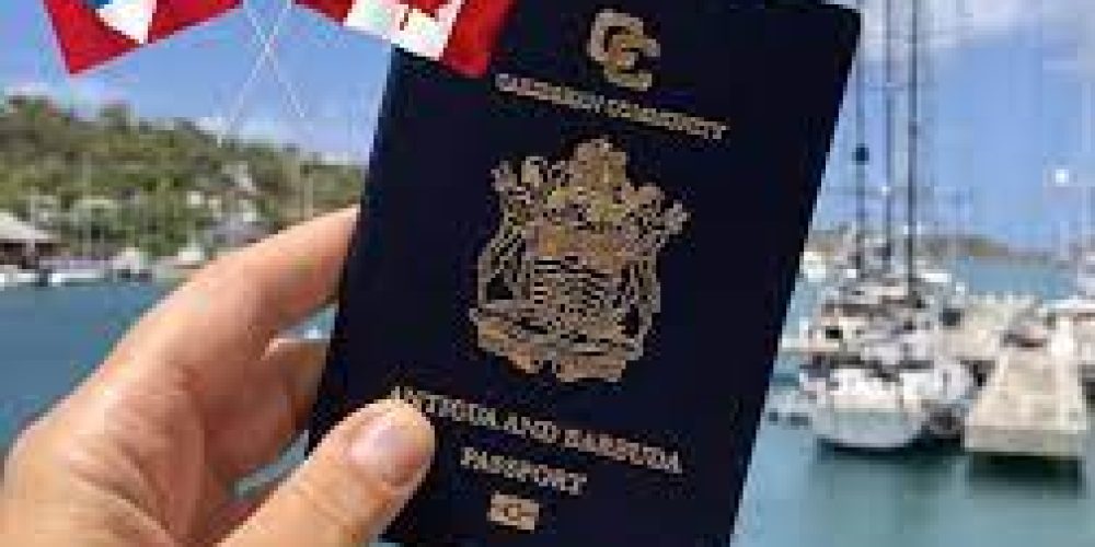 The Primary Accreditations and Specialist service providers Provided from Canada New venture Visa Legal pros