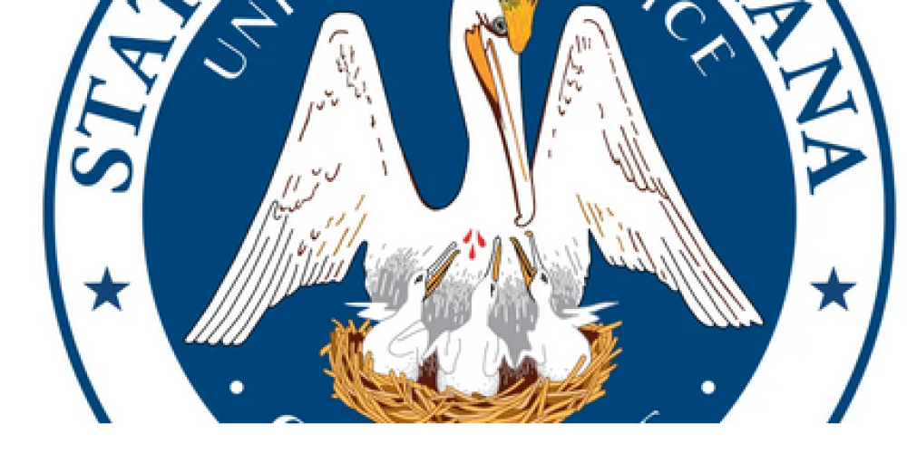 Know Your Rights: Squatter Laws in Louisiana Demystified