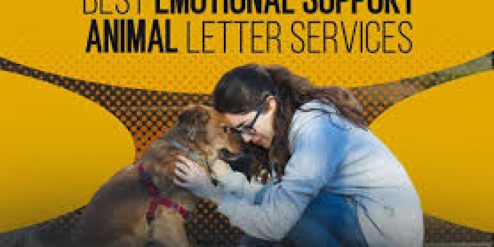 ESA Letter for Substance Abuse Recovery: Companionship in Healing